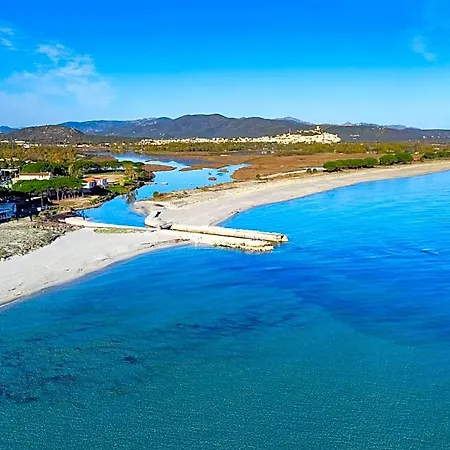 Summer سينيسكولا