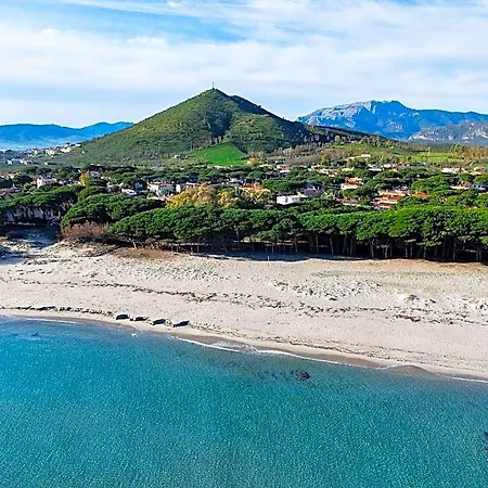Summer * سينيسكولا